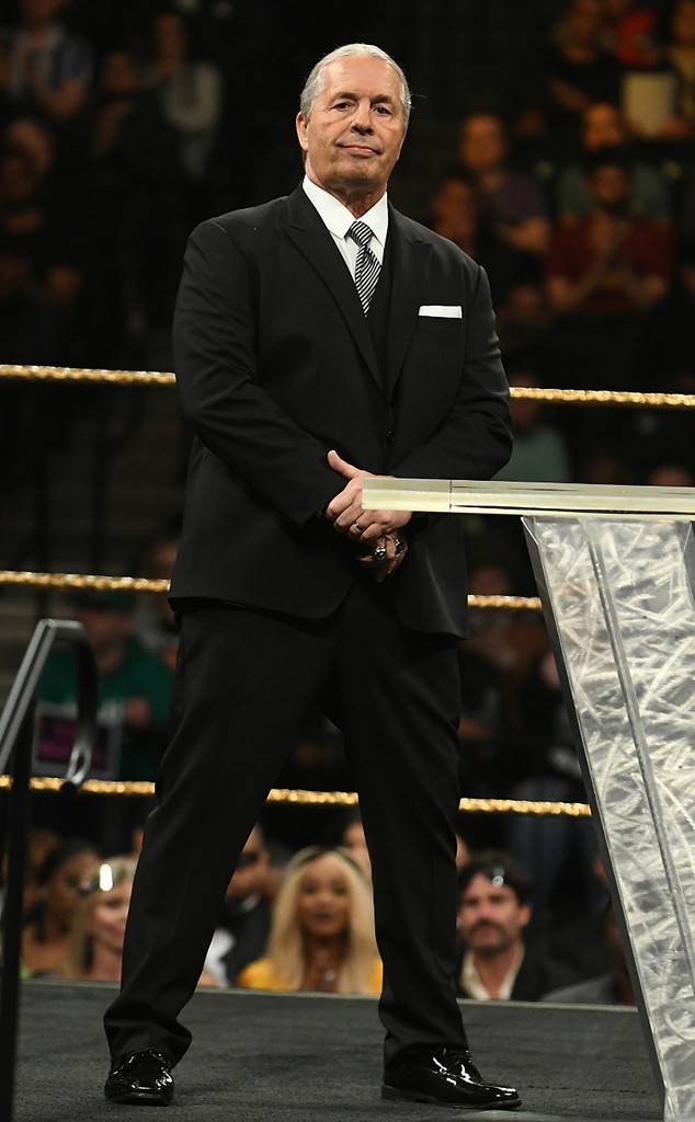Pro Wrestling - Bret Hart Pro Wrestling - Bret Hart